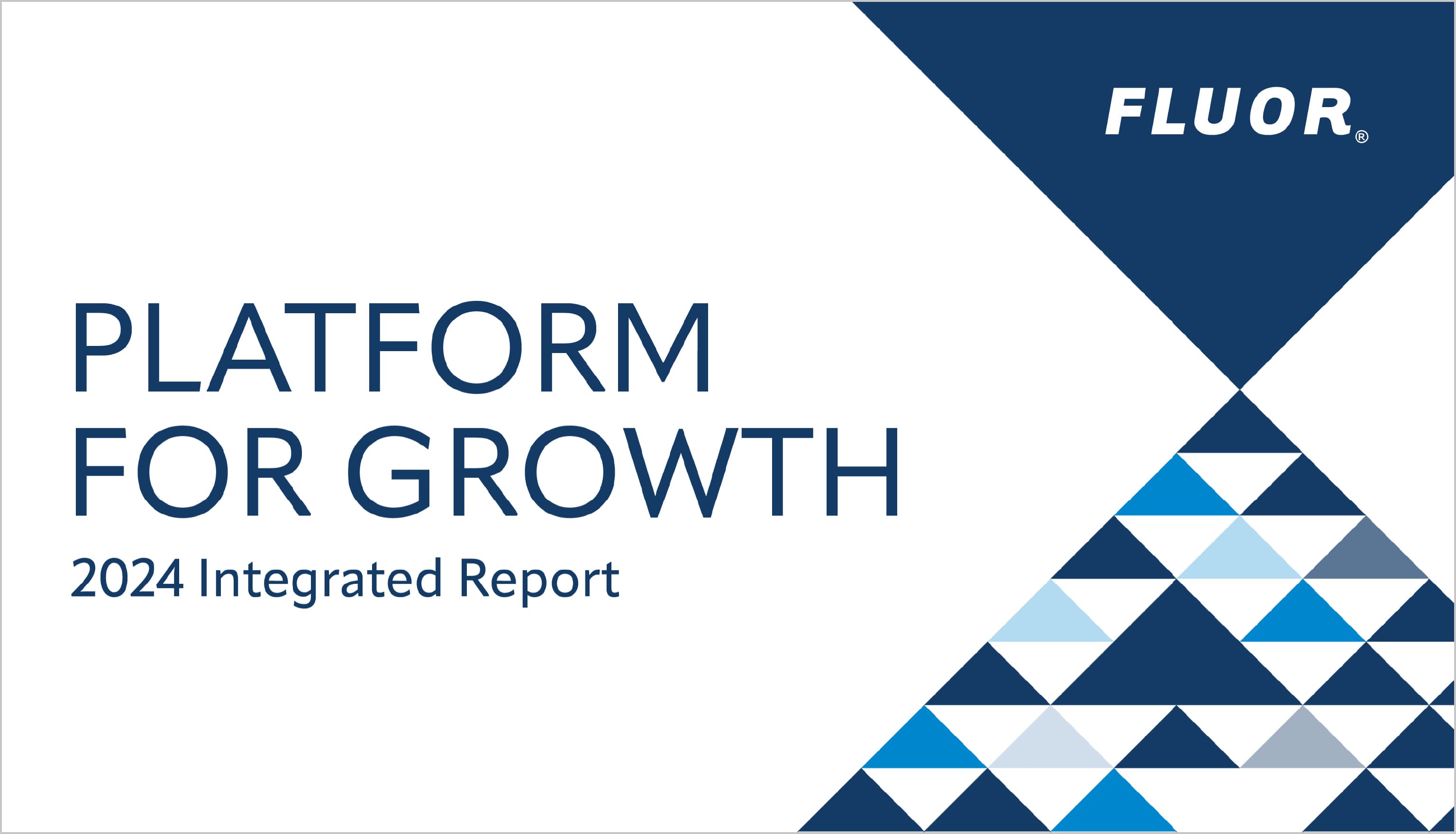 Platform for Growth: 20242 Integrated Report
